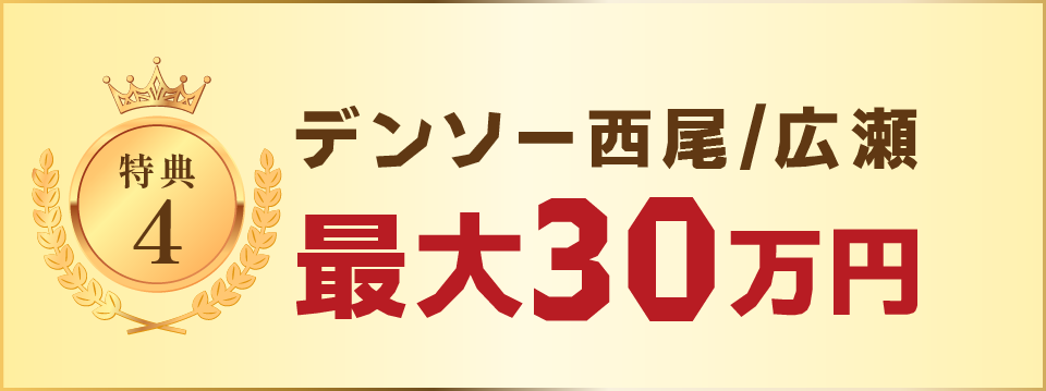 デンソー西尾/広瀬：各30万円 